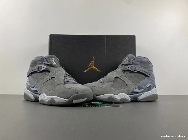 Rep Cool Grey Retro 305381-014 8 Jordan 0724
